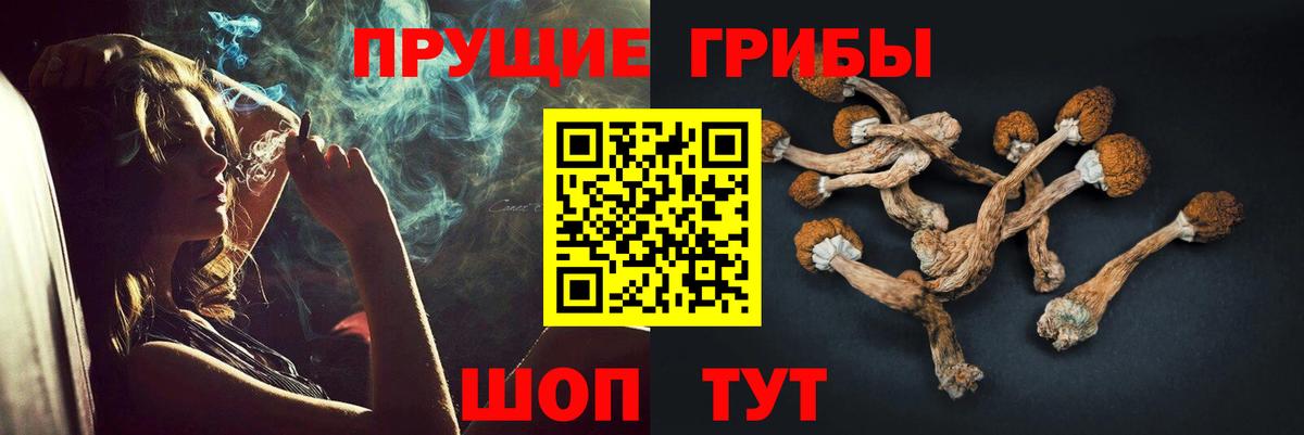 Керчь  Псилоцибиновые грибы GOLDEN TEACHER  Вход с VPN 